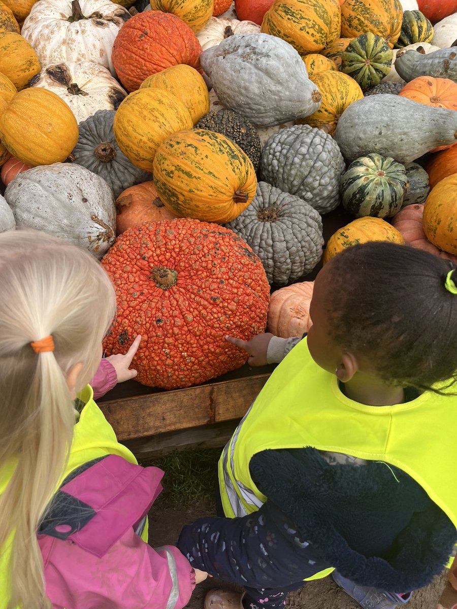 BSBTrips tweet media