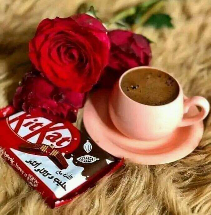 يبقولو الصباح الملون
 بالحب و القهوة☕♥️
 و صوت اللي بتحبن
يبيستحق الفيقة بكير