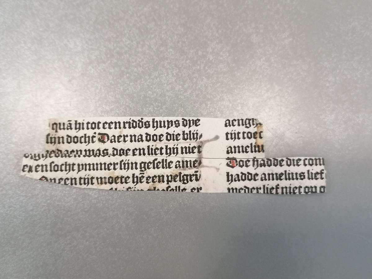 An unexpected stowaway found in an illuminated legder from the archives of the abbey of Maagendaal (Oplinter): two snippets from an incunable or post-incunable edition of 'Der sielen troest', with the Middle Dutch version of the bestseller Amicus et Amelius. #fragmentology