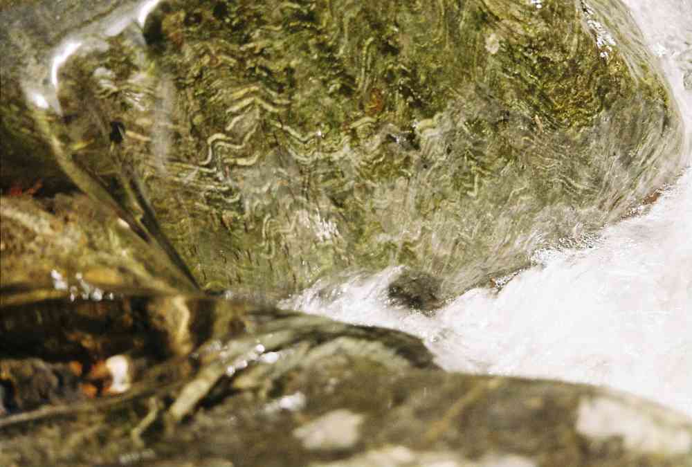 L'aigua que som.
Nou article de <a href="/albaa1313/">Alba Cartanyà</a> 

"Aigua és sinònim de vida.
L’aigua simplement ÉS per a que tot pugui SER; dota de contingut les diverses formes d’existència."

laconca51.cat/laigua-que-som/