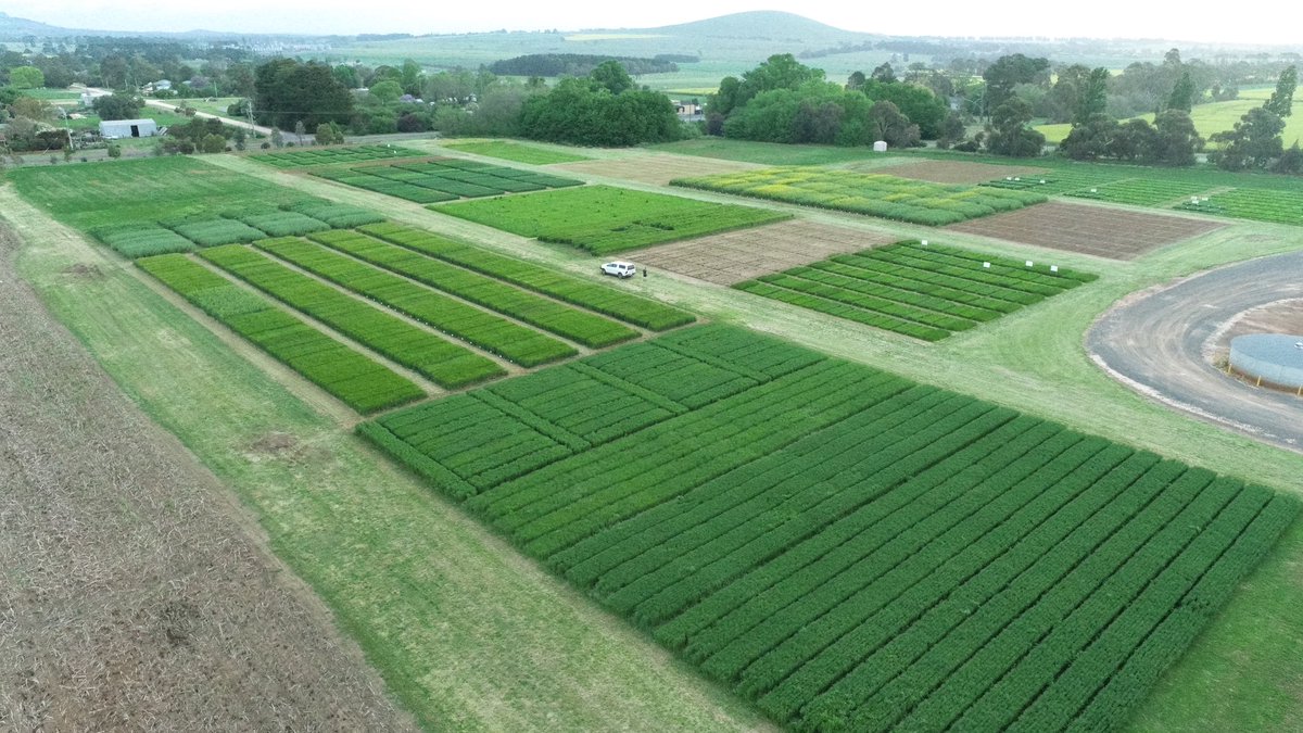 All set for our <a href="/AGF_Seeds/">AGF Seeds</a> field day tomorrow at Smeaton. Hope you can join us for updates on our Broadacre and Forage range.