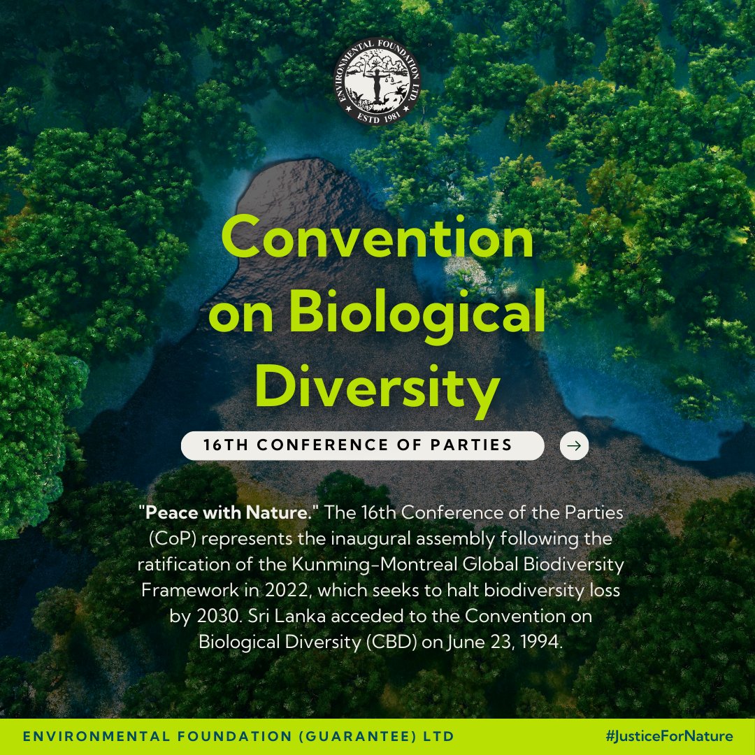 EFL_1981's tweet photo. Sri Lanka reaffirms its commitment to biodiversity at the 16th CoP to the Convention on Biological Diversity. EFL and the Ministry of Environment, have identified key conservation landscapes and ESAs, aiming to protect 30% of land, waters, and seas by 2030.
#JusticeforNature https://t.co/98YNwdf7yb