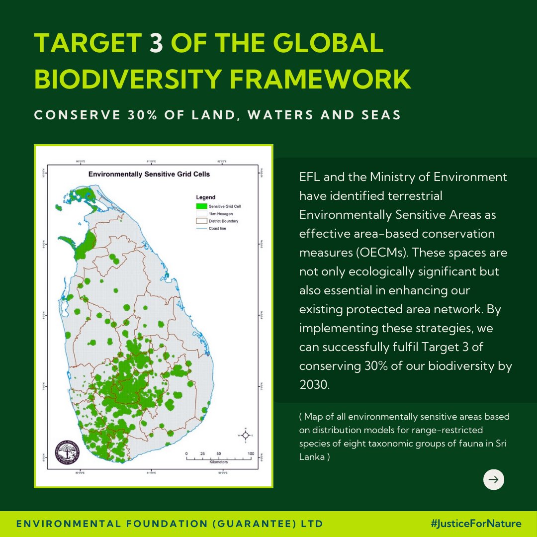 EFL_1981's tweet photo. Sri Lanka reaffirms its commitment to biodiversity at the 16th CoP to the Convention on Biological Diversity. EFL and the Ministry of Environment, have identified key conservation landscapes and ESAs, aiming to protect 30% of land, waters, and seas by 2030.
#JusticeforNature https://t.co/98YNwdf7yb