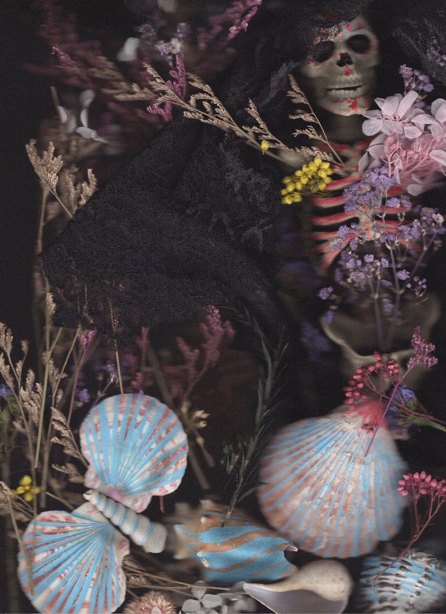 Eclectika tweet media