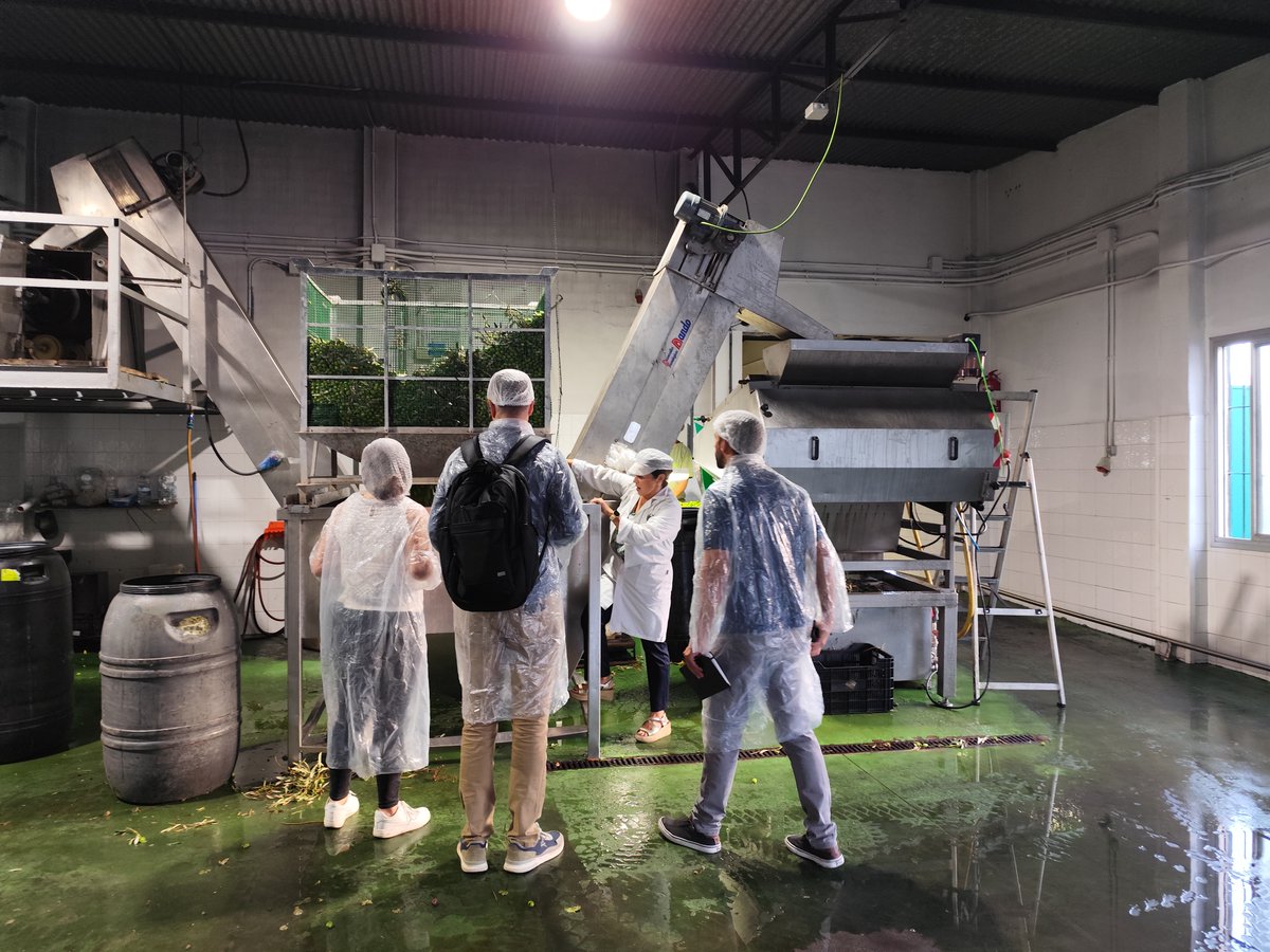 PROYECTO ADEREREZO INCLUSIVO Y SOSTENIBLE
La Agrupación de Aderezadores del Valle del Guadalhorce estudia en este proyecto el consumo energético en la elaboración de aceitunas y promueve la eficiencia. Comenzamos en <a href="/aceitunasbravo/">Aceitunas Bravo</a>
Subvenc <a href="/lanoria_mlg/">La Noria</a> <a href="/diputacionMLG/">Diputación de Málaga</a> <a href="/FundlaCaixa/">Fundación ”la Caixa”</a>