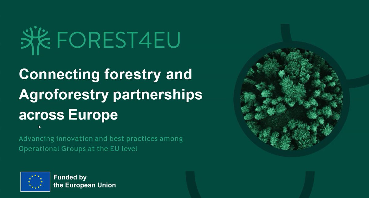Competence Centre hosted forestry experts to talk about challenges &amp; opportunities in forestry funding and innovation. Insights from Greece, Serbia &amp; the FOREST4EU survey on innovativeness in SE Europe. #FOREST4EU
#Sustainability #ForestryInnovation #Agroforestry #CEKOM
