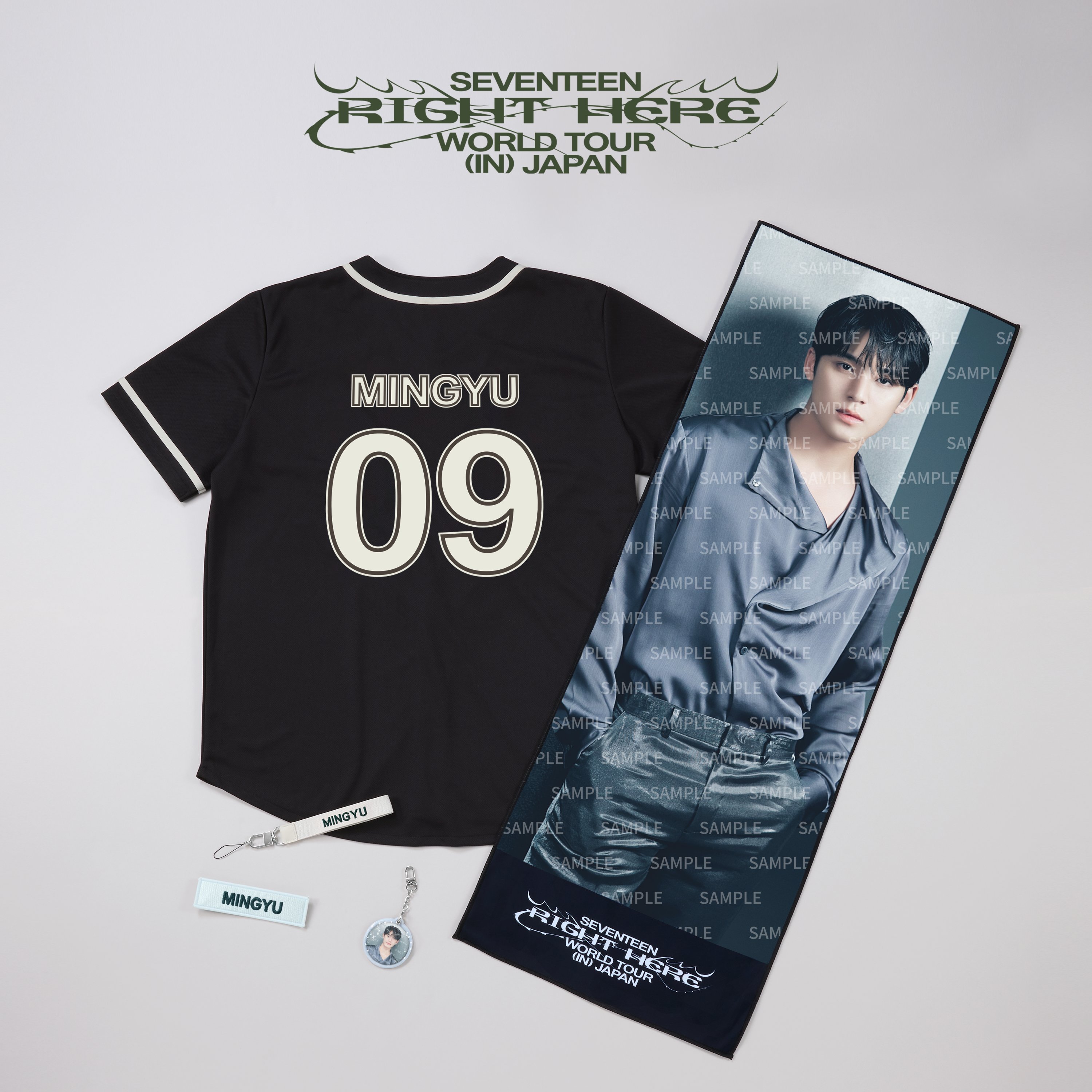 SEVENTEEN - [RIGHT HERE WORLD TOUR IN JAPAN] OFFICIAL MD