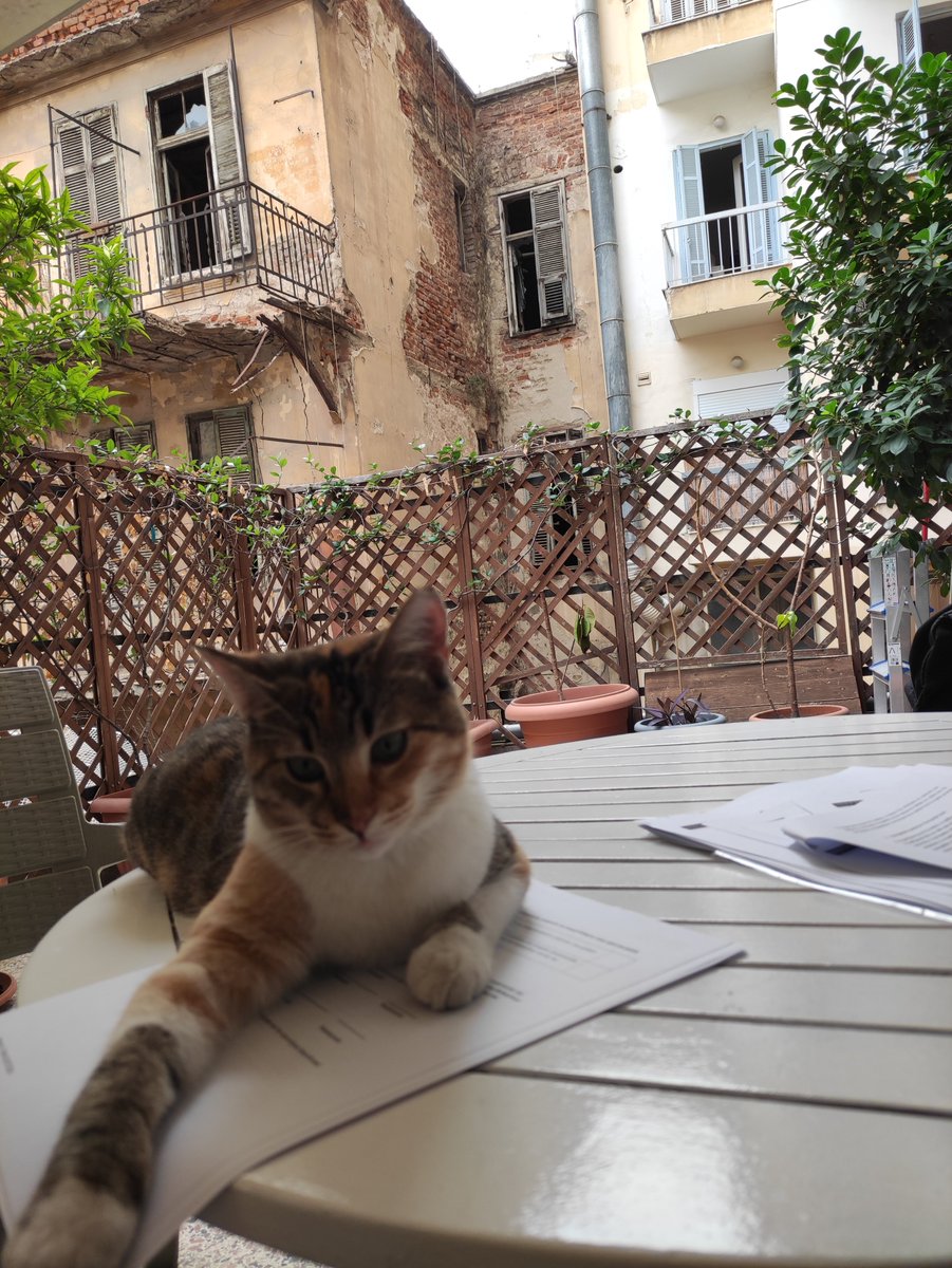 -Is this the right photo to revive this research account?
- Mm, why not?

A cat sitting comfortably on some consent forms;
at the small yard of Irida Women's Centre;
while I'm speaking with women. 

Life stories, intimate spaces, relationships and communities.