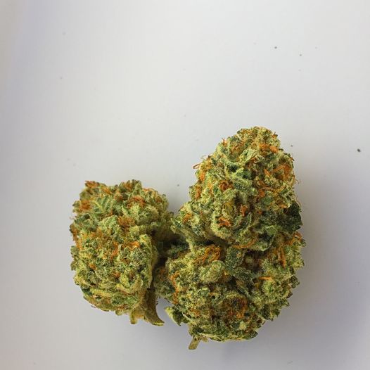 thegrasschief's tweet photo. Taking a step back to relax and enjoy life. How do you unwind?
#cannabis #cannabiscommunity #cannabisculture #indica #cbd #vape #mmj #puffpuffpass #highsociety #canadianstoner #supportindigenous #staylifted #stoner #stoned #canada #canadian https://t.co/81usW2uYIi