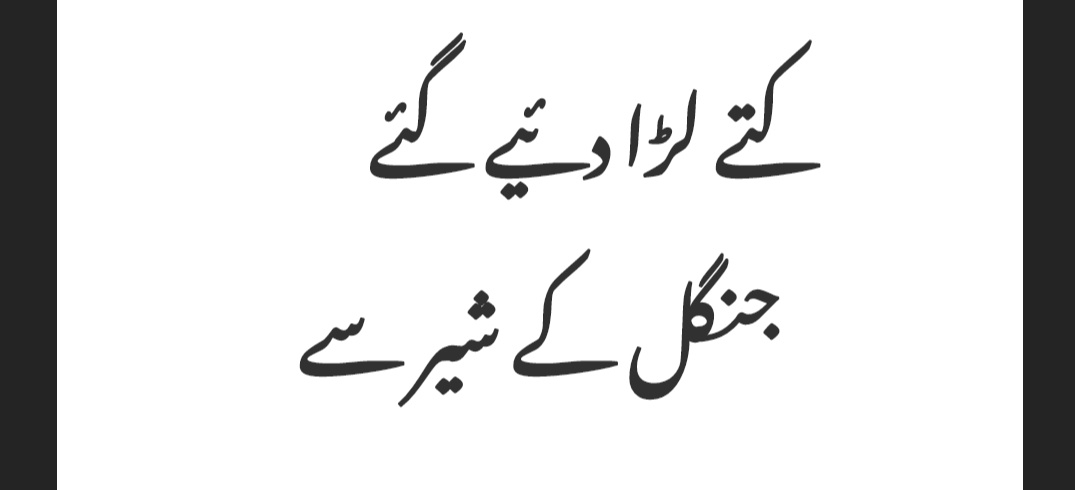 bumblebeee_5's tweet photo. 🇵🇰 https://t.co/EuwF10CHNG