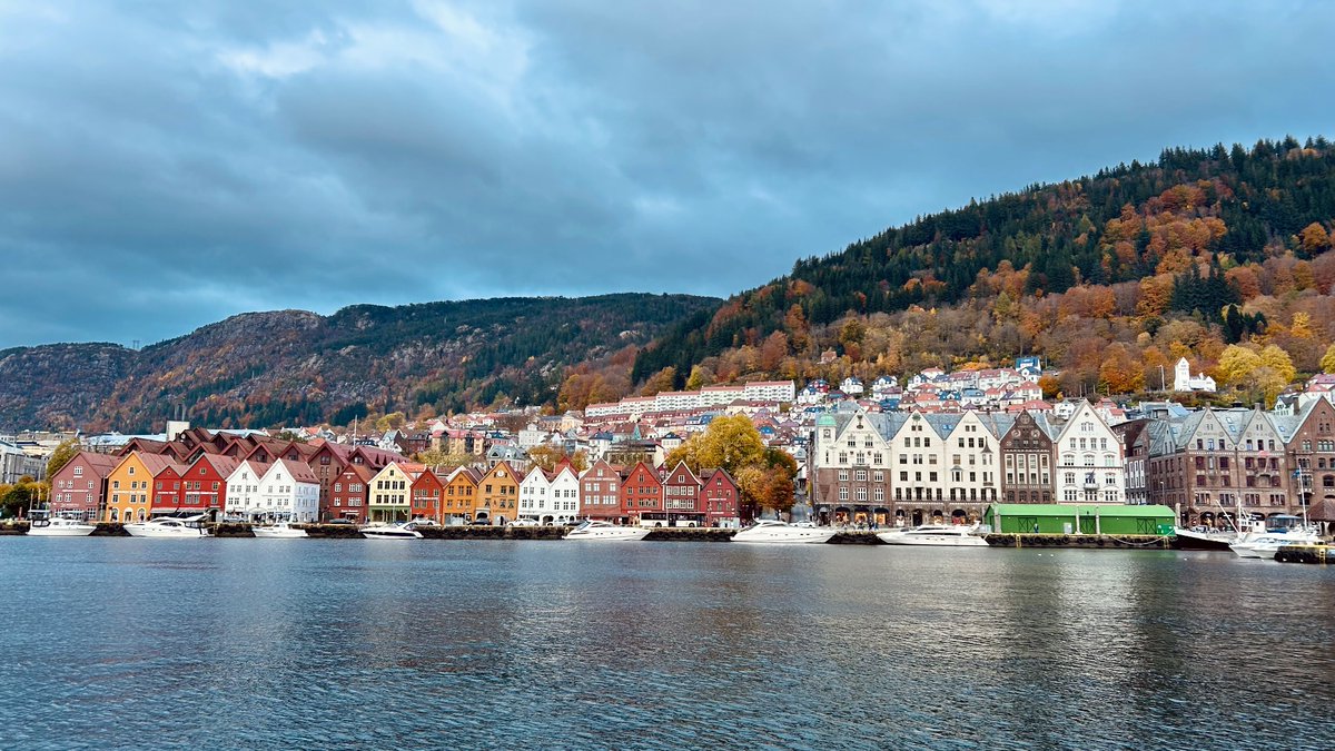 Abigail Lund tweet media