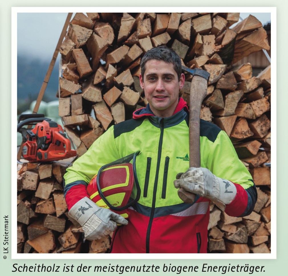 Bioenergie in 🇦🇹
Die Bioenergie wurde zu einer tragenden Säule der heimischen Energieversorgung. Ihr Einsatz zur Energiegewinnung könnte bis 2030 um etwa 30% gesteigert werden
👉 biomasseverband.at/wp-content/upl…
#Bioenergie #Biomasse #Klima #CO2 #klimafit  #Klimawandel #Holzvorrat #Wald