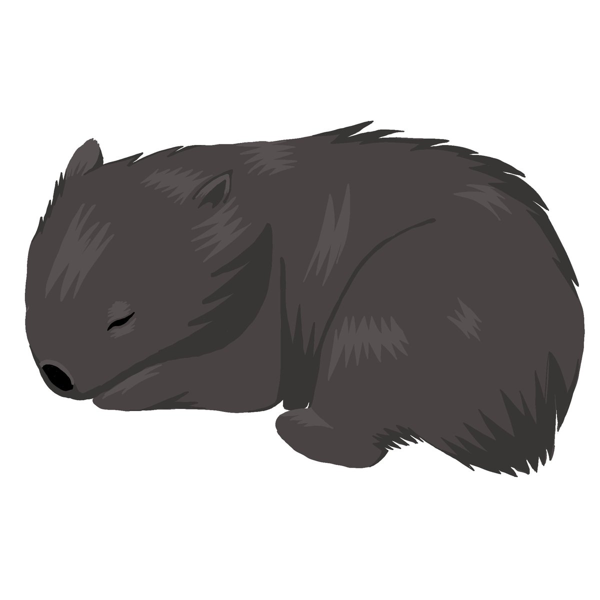 First Peoples' Assembly of Victoria tweet media