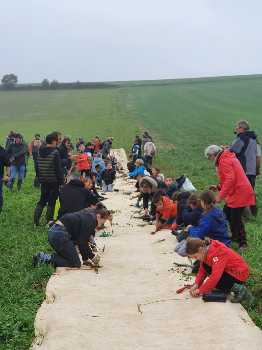 Prefet89's tweet image. 18/10 | Lancement du mois en faveur de la #haie à #Michery.
🗣️"Il est essentiel de préserver et de développer les haies pour lutter contre le changement climatique ! 🌏
Elles sont cruciales pour protéger la biodiversité et combattre l'érosion, que ce soit par le vent ou l'eau."💧