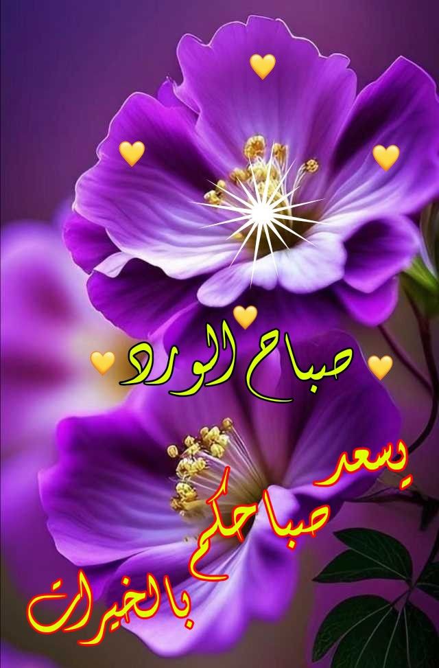 بنت سورياEk Ms (@ekms98332061) on Twitter photo 