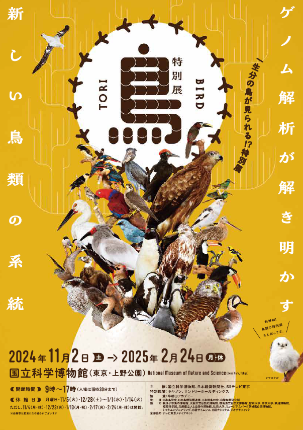 museum_kahaku's tweet photo. ✨開催予告✨
━━━━━━━━
　特別展「鳥」
━━━━━━━━

◆会期：11月2日(土)～2025年2月24日(月・休)
◆場所：#国立科学博物館 (上野)

科博初‼️鳥類がテーマの特別展🕊️

600点以上の貴重な鳥標本やゲノム解析による最新の研究成果を通して、鳥類をご紹介します♪

https://t.co/OXnqkrvEph https://t.co/hSp01RFMEw