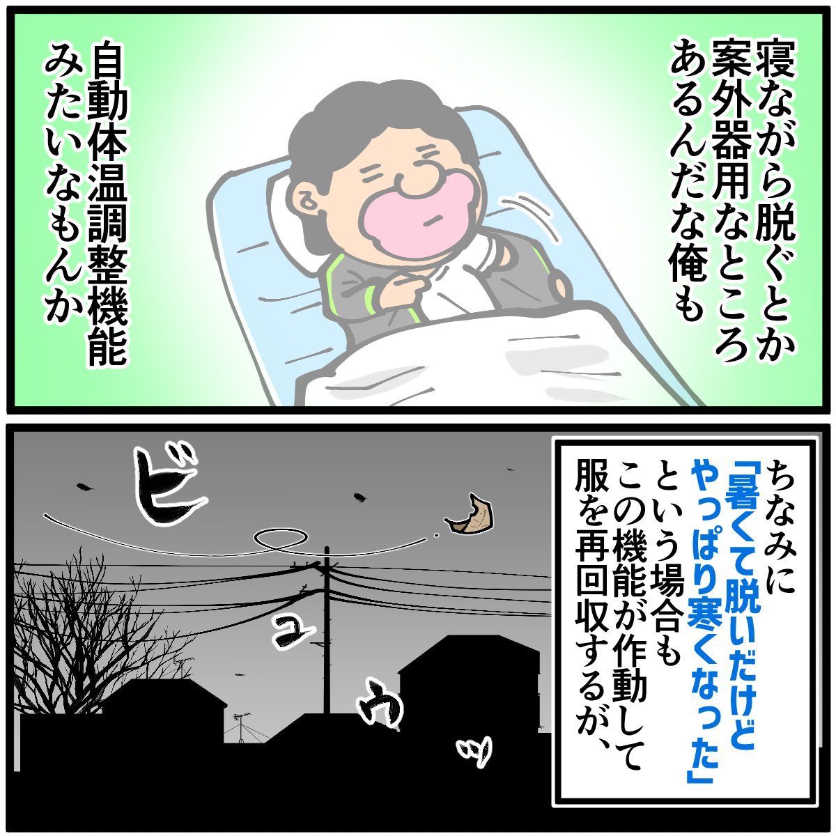 私の自動体温調整機能の欠陥 