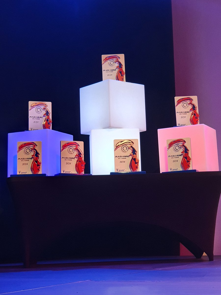 Prefet89's tweet image. @Prefet89 a participé à la remise des Mariannes de l'#Yonne, orchestrée par l'Association des maires de
France et des  présidents d'intercommunalité de l'Yonne.🏆Ces trophées célèbrent les #initiatives
innovantes des #communes et #intercommunalités.
Bravo à tous les lauréats !👏