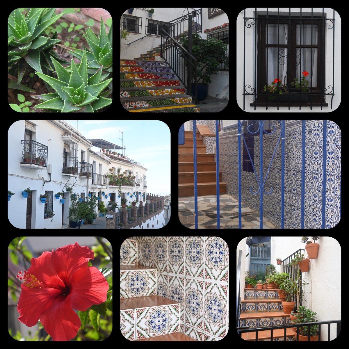 Philosophy Religion and Ethics_NHS tweet media