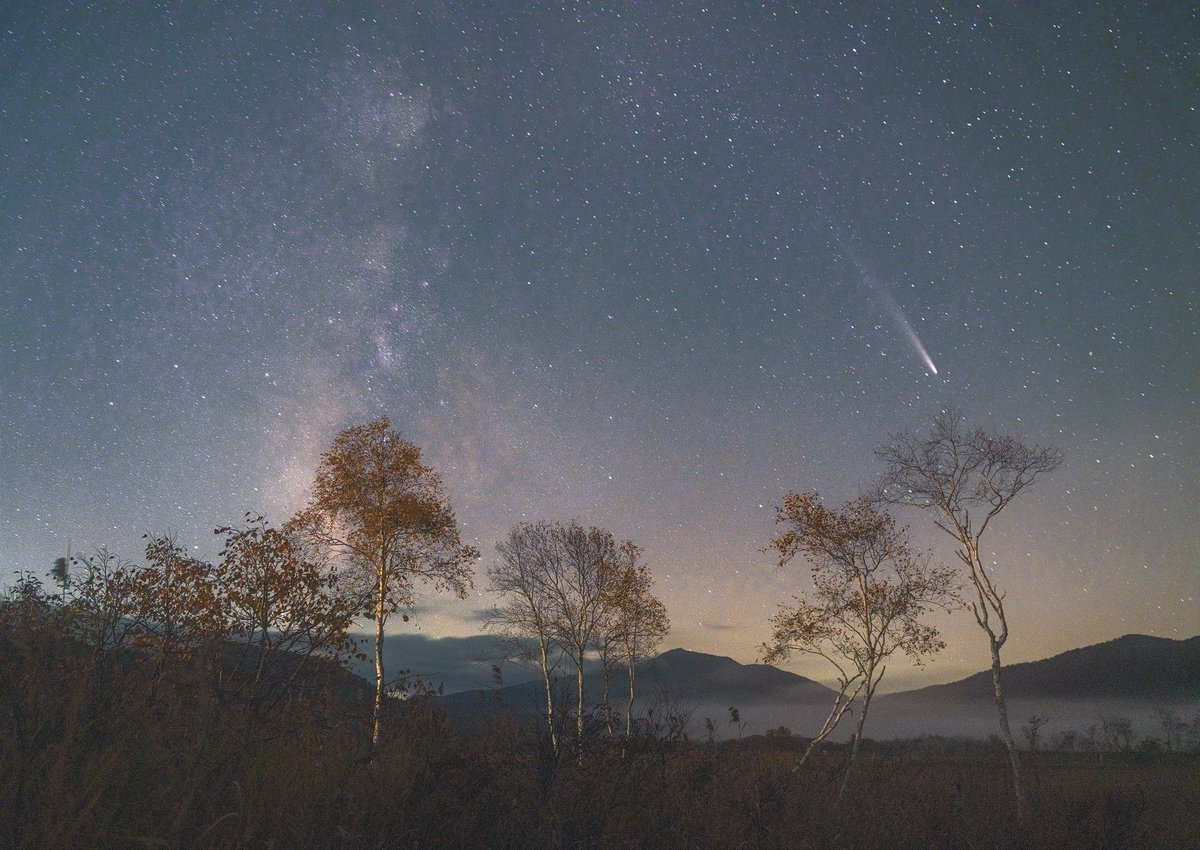 尾瀬ヶ原の夜空に浮かぶ紫金山・アトラス彗星。
同じ山小屋に宿をとった見知らぬ人々と一緒に「彗星はどこ？」と探し回ったり。
言葉も名前も交わさないまま、ひと時の美を共に見つめているこの時間と、知らない者同士だからこその距離感に、なんともいえない心地よさがあった。
#紫金山・アトラス彗星