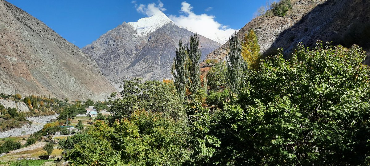 Seasons change, but the view of majestic snow-capped Diran Peak remains breathtakingly timeless.

#BagroteValley #GilgitBaltistan #Pakistan #beautifuldestinations