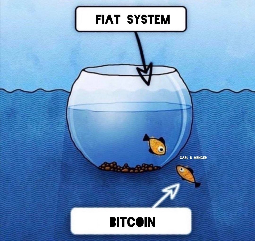21bitcoinApp's tweet photo. #Bitcoin is freedom https://t.co/JndusE6pdm