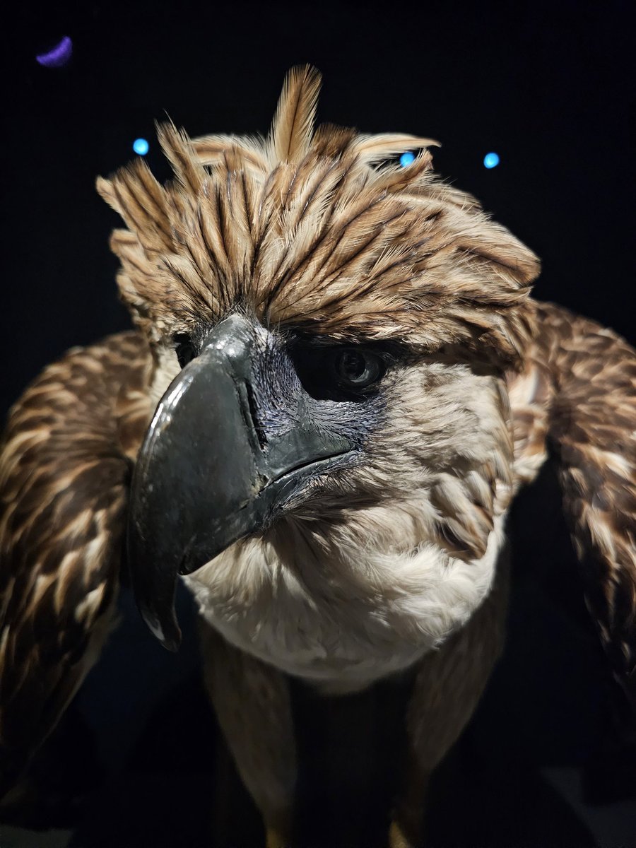 Jules Howard tweet media