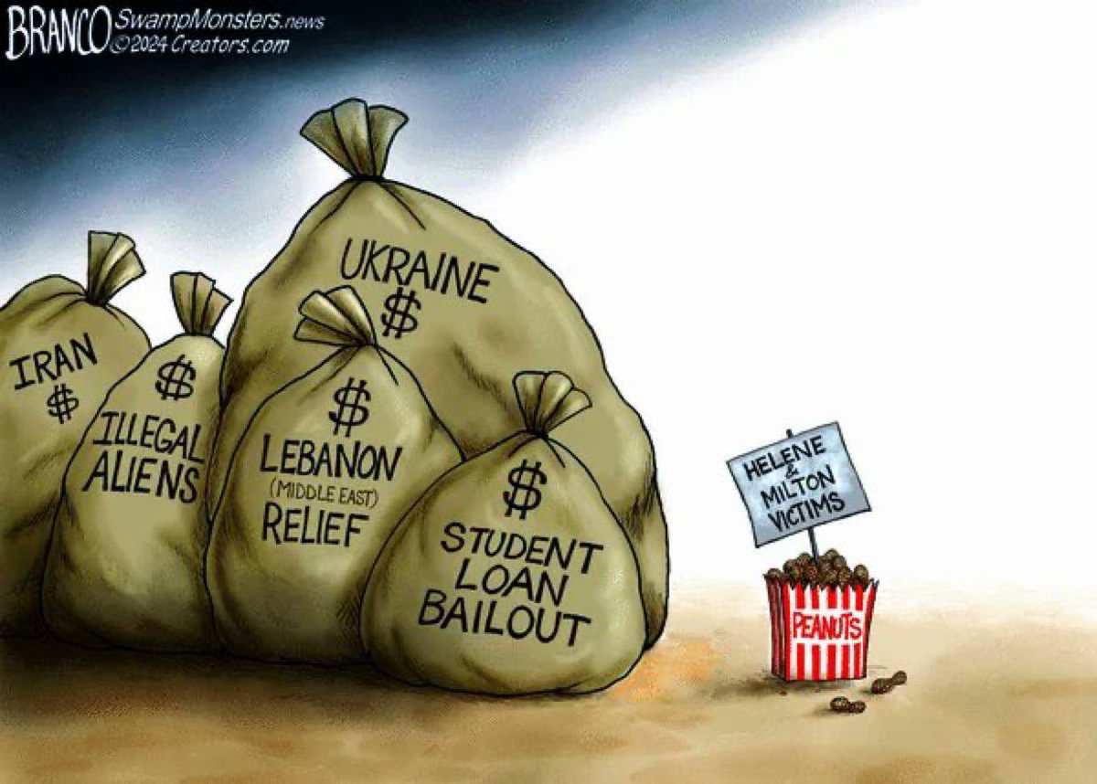 MAGAWarrior tweet media