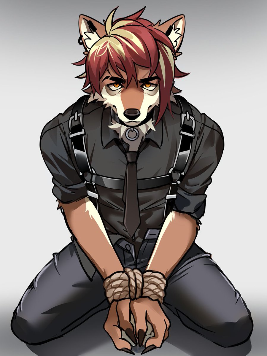 awoogoo's tweet photo. even loyal dogs deserve a little punishment https://t.co/7xaQzzUEVi