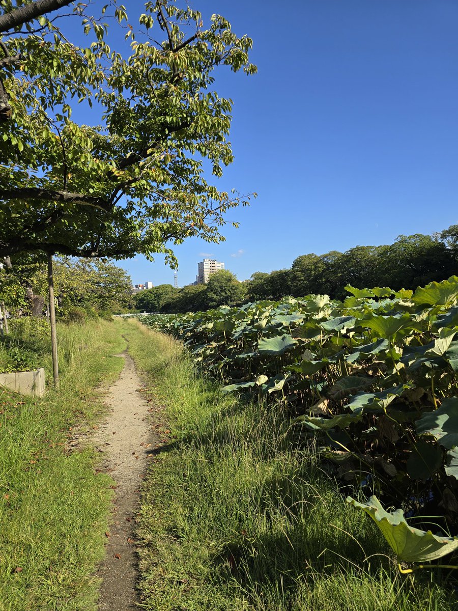 SolRouen tweet media