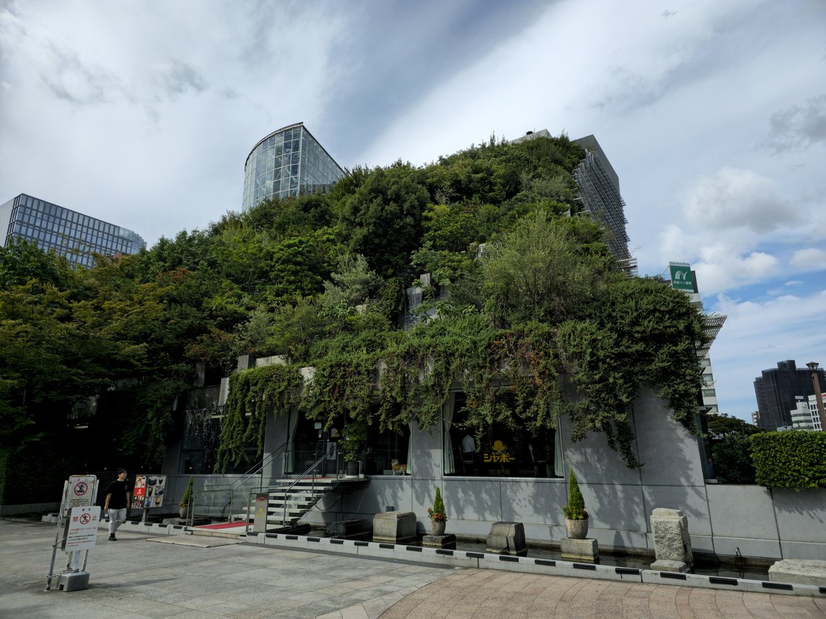 SolRouen tweet media