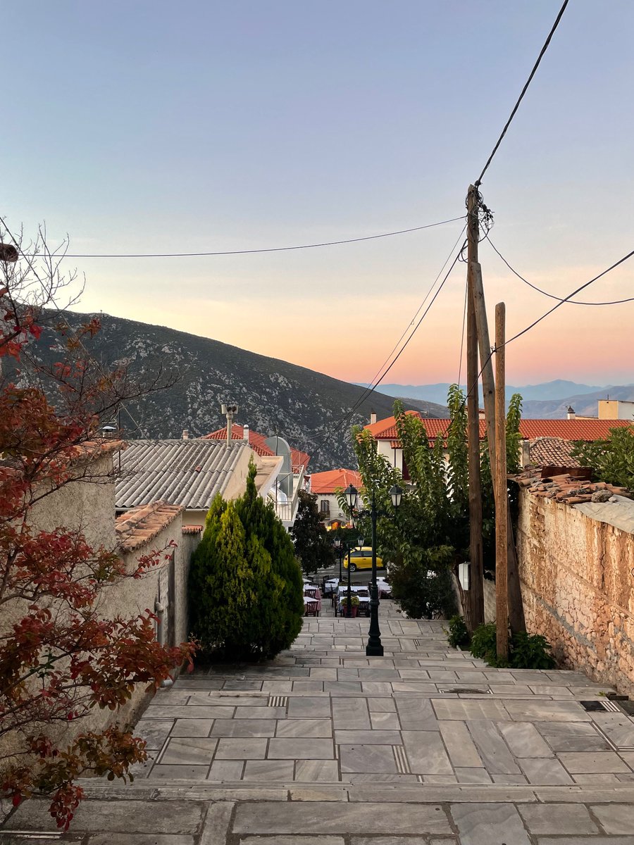 KateGQuinlan's tweet image. Thanks to the later #GreeKLF conference start this morning, I was able to do my morning walk after sunrise! Delphi is beautiful! Now time for science… @UNSWBABS @MerlinCrossley @manan_s9