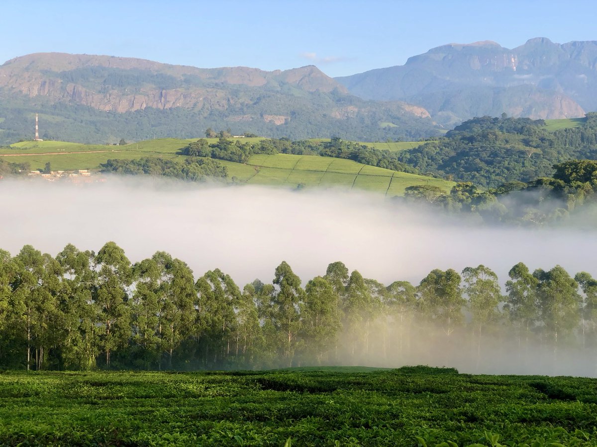 A lot of freshness to take in