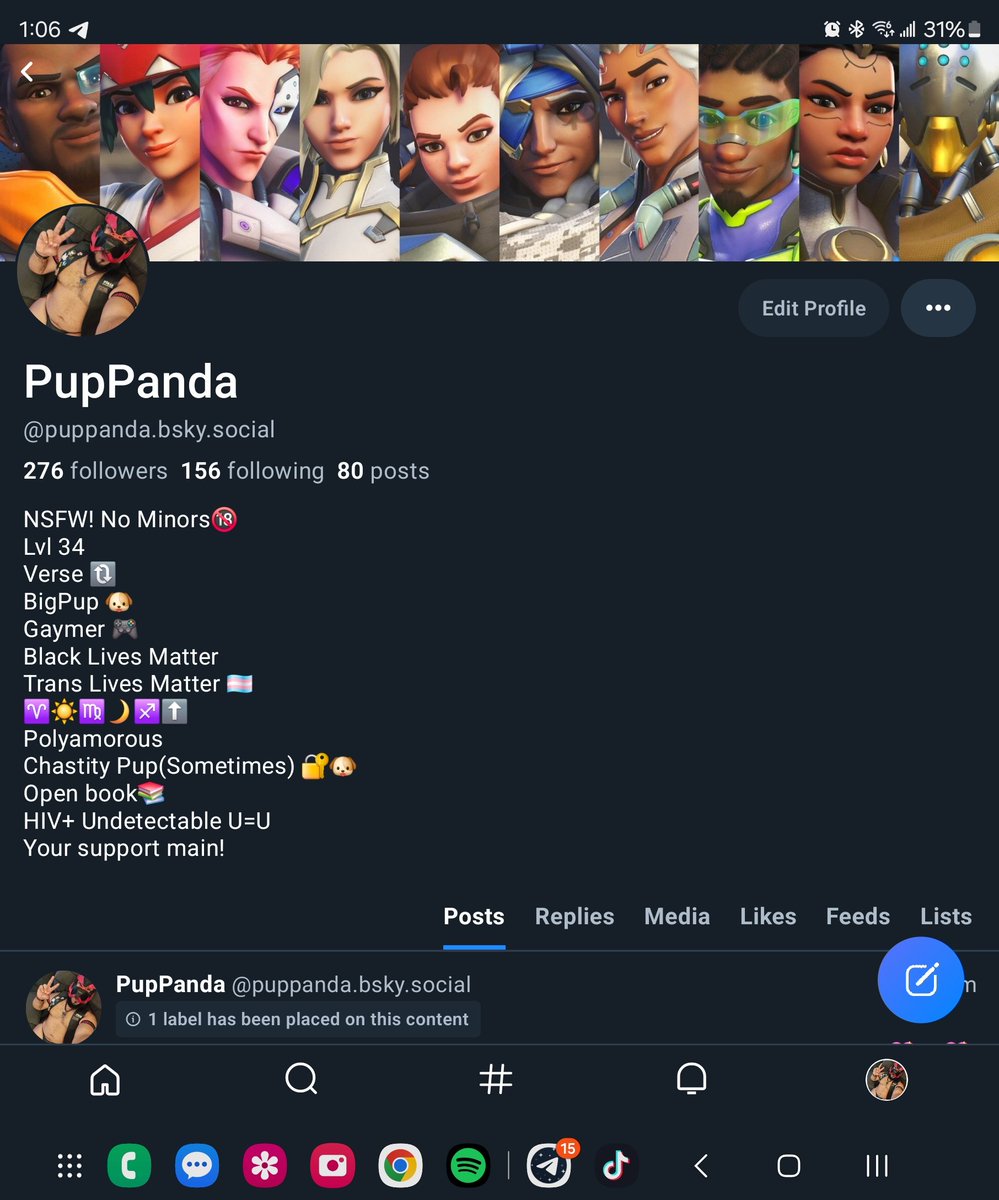 The Akatsuki Pup-Panda tweet media