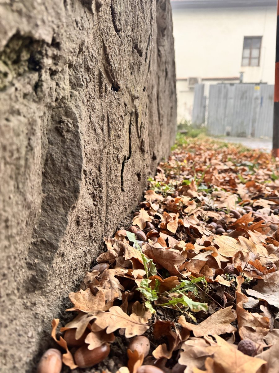 martinakarny's tweet photo. #hmla
Prajem vám všetkým krásny deň…🫶🍂 https://t.co/KNAV0SPfEW