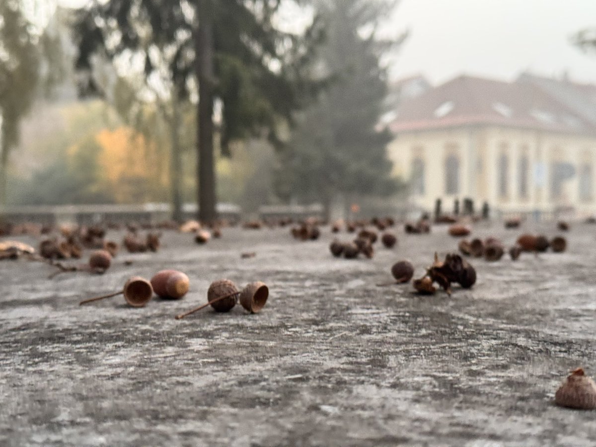 martinakarny's tweet photo. #hmla
Prajem vám všetkým krásny deň…🫶🍂 https://t.co/KNAV0SPfEW