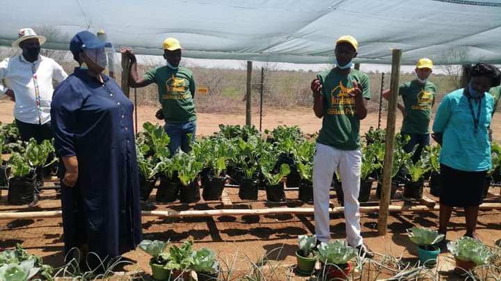 2025 Admission Open <a href="/MasingiCollege/">Masingi Technical College</a> apply online masingicollege.co.za #OccupyParliament #agricultureminister  #farming