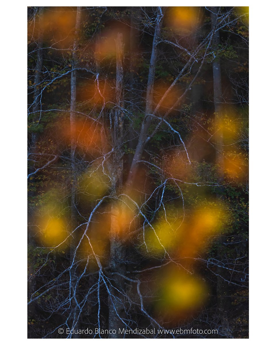 El 9 de noviembre buscaremos las visiones más creativas del otoño en el Parque Natural del Montseny #Barcelona