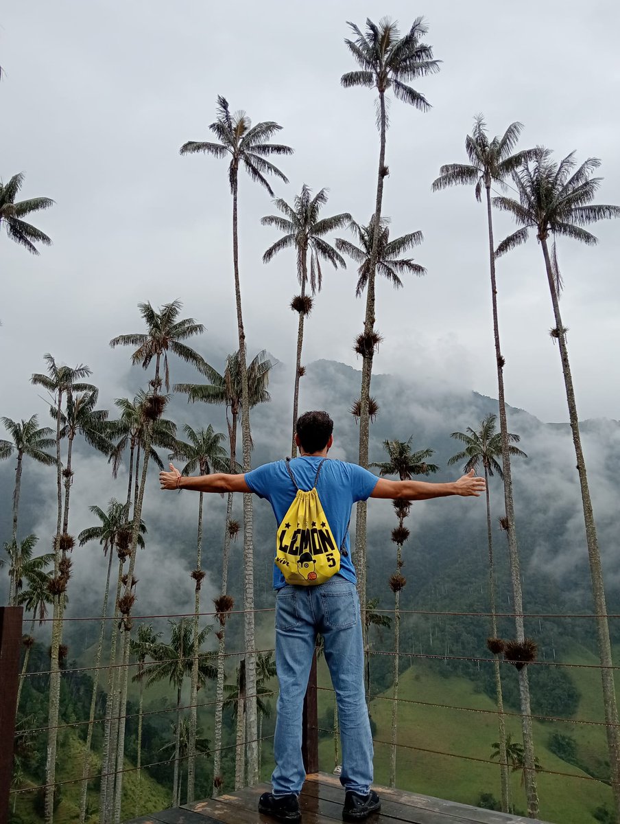 Lemon Baloncesto tweet media