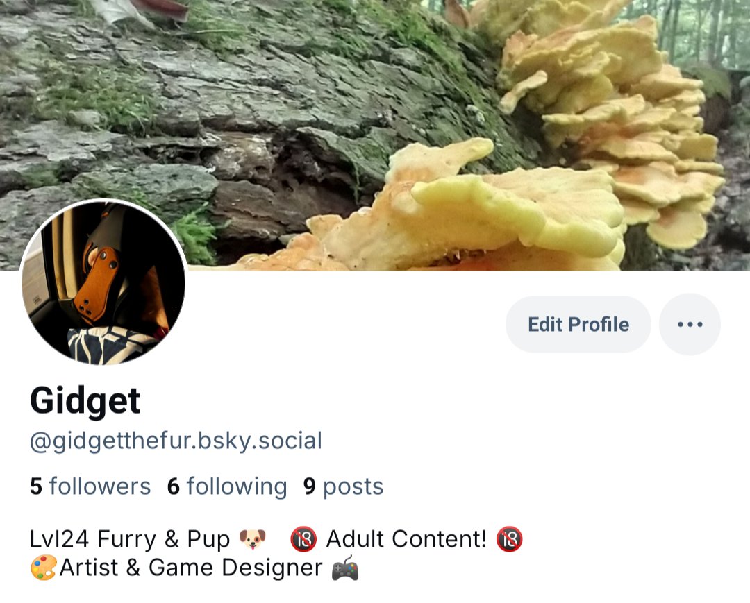 gidget_ad's tweet photo. I'm moving over to 🔵 ☁️ also going to consolidate into a single account, and all hard nsfw content will go on patreon / OF https://t.co/nGLIIoWNR4