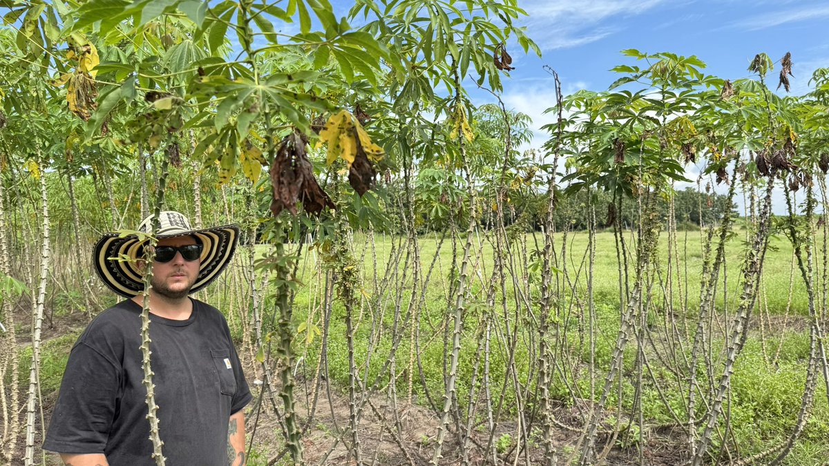 Jonathan Newby tweet media