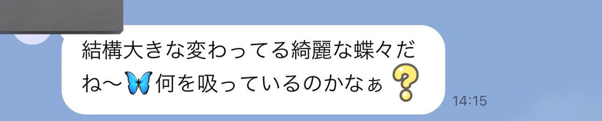 ojimagyo's tweet photo. 母親にアゲハ蝶が飲み物めっちゃ吸ってる動画送ったらこう返ってきた
詐欺とかの人絶対に俺の母親狙わないでほしい 通るから https://t.co/1c2AWJoveS