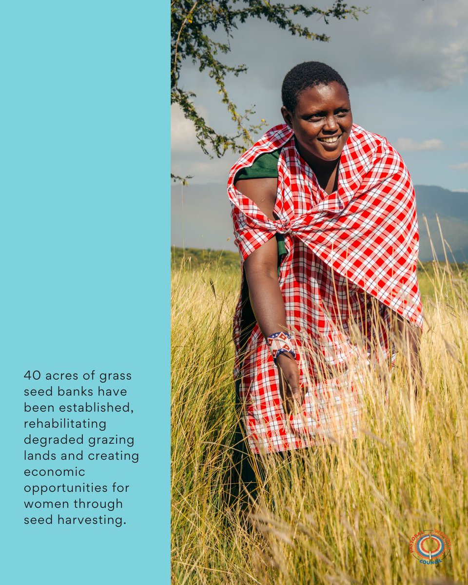 PWCTanzania's tweet photo. Climate change hits hard in northern Tanzania, but we're taking action! PWC has equipped 3,000+ people with climate adaptation skills and restored degraded lands. We're empowering communities and building a more resilient future. #PWCImpact #ClimateResilience #WomensEmpowerment https://t.co/4O0Q2jfyBd