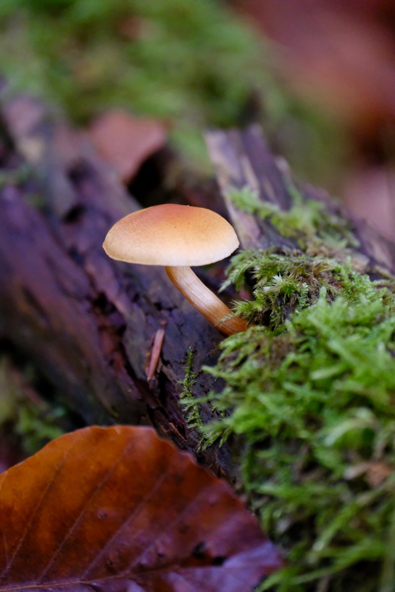 Thomas Jarrand tweet media