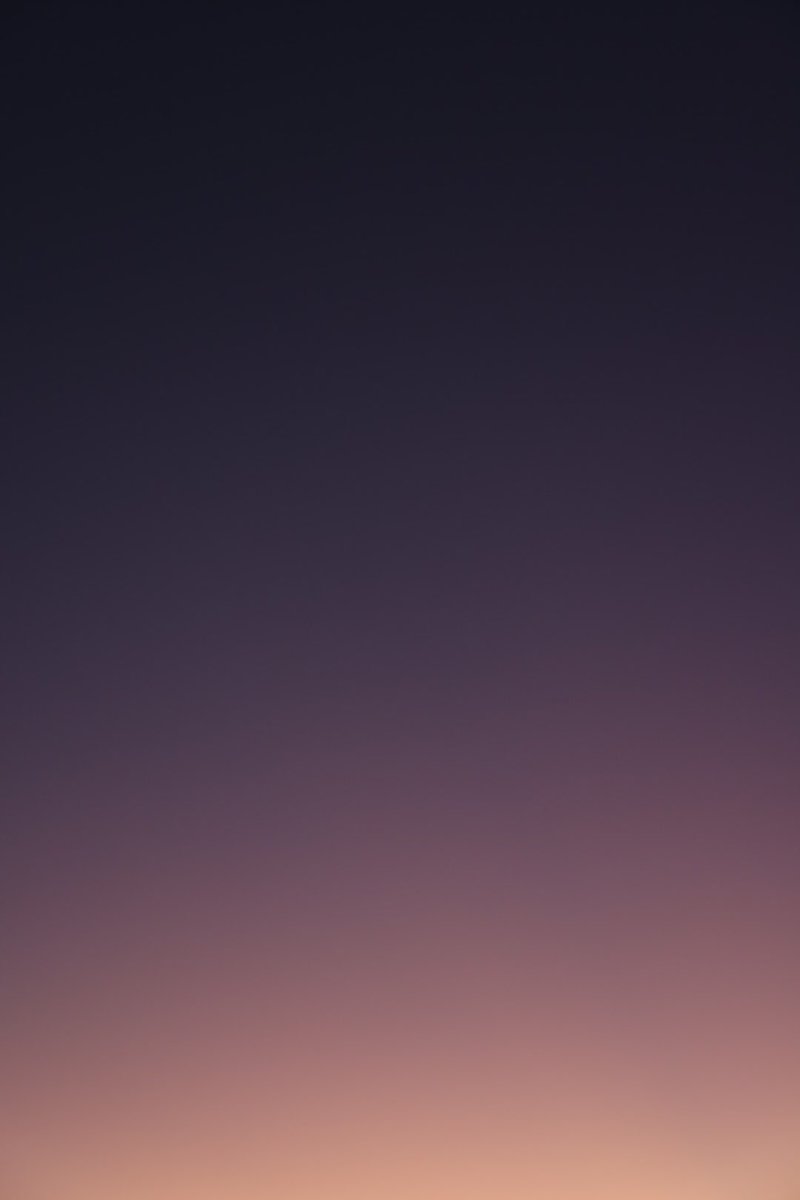 Anton Ptushkin tweet media