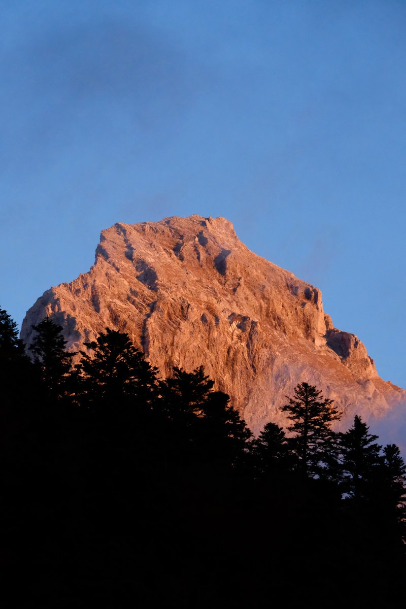 Thomas Jarrand tweet media