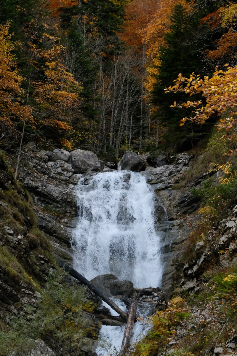 Thomas Jarrand tweet media