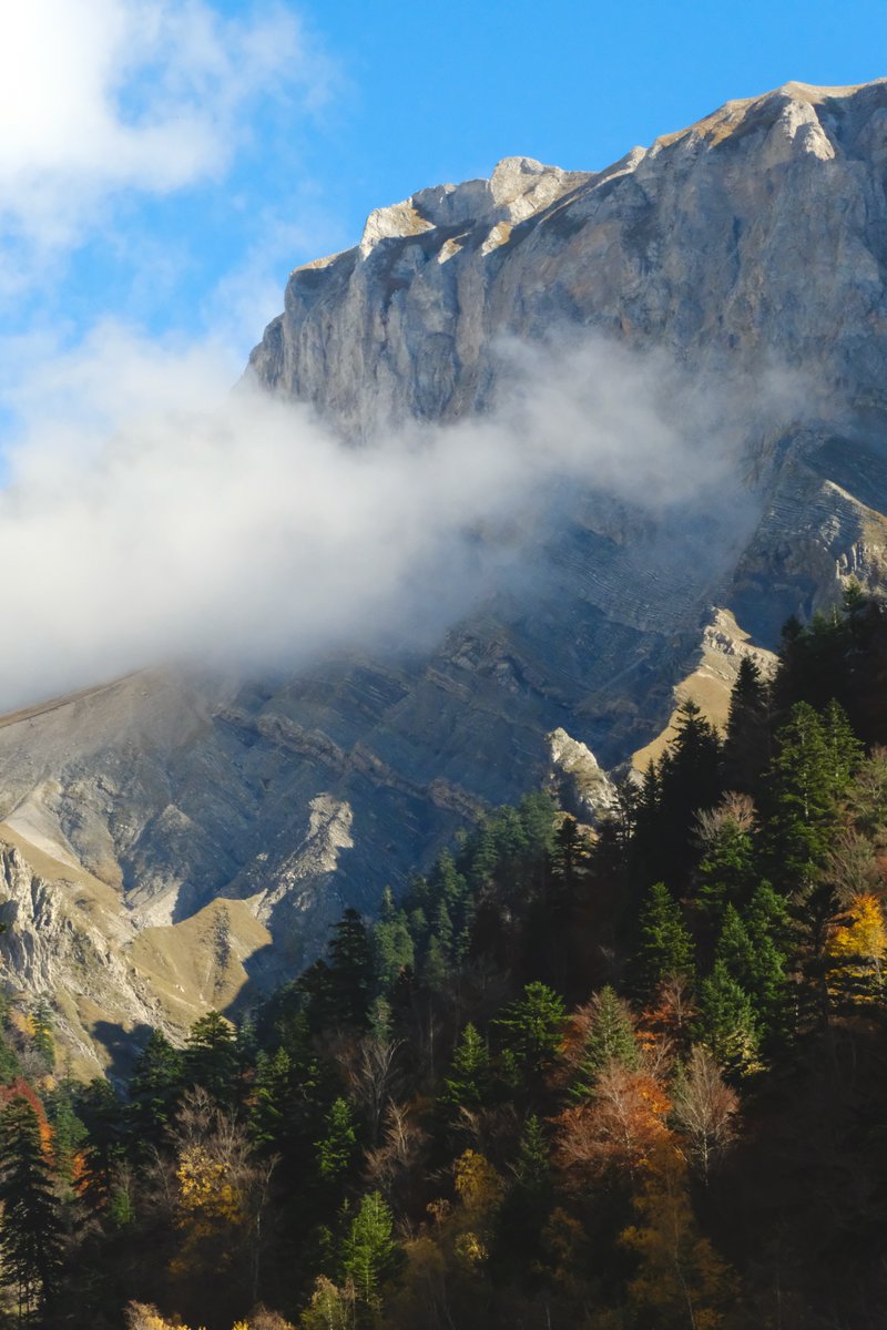 Thomas Jarrand tweet media