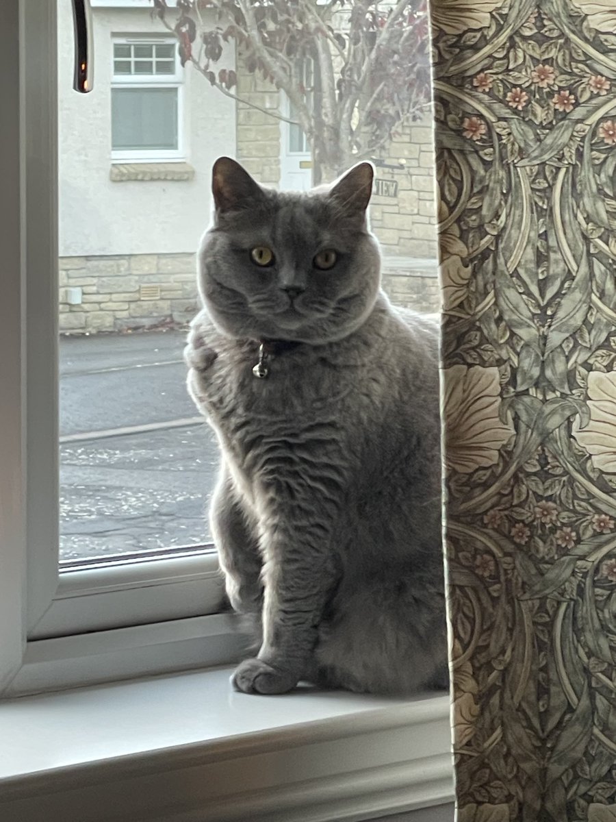 Me being super cute!!! 💜 #Duke