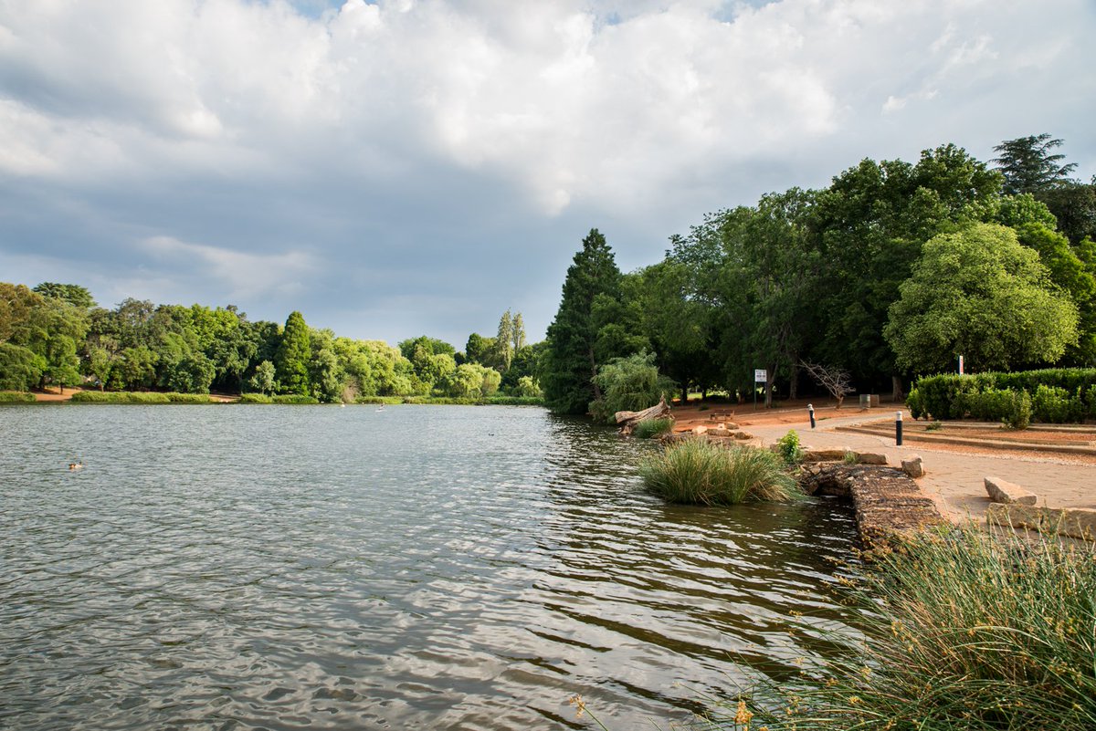 CityofJoburgZA's tweet photo. Jozi, #WhereInJoburg? Can you spot where this snap was taken? Follow @joburgparkszoo.
#ExploreJoburg #WelcomeToJoburg ^LM https://t.co/jg84VWUPgE